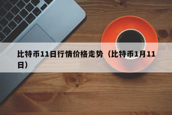 比特币11日行情价格走势（比特币1月11日）