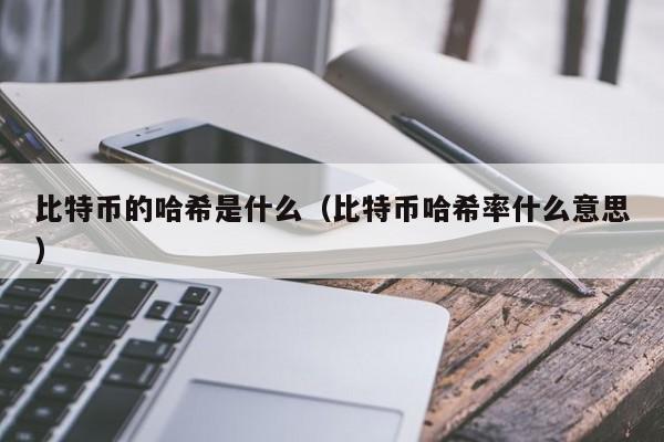 比特币的哈希是什么（比特币哈希率什么意思）