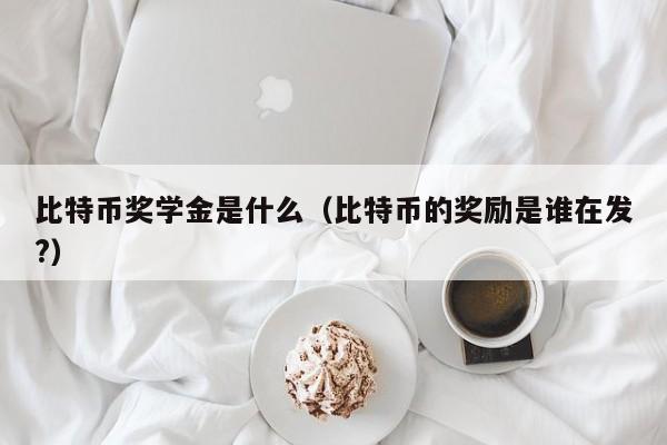 比特币奖学金是什么（比特币的奖励是谁在发?）