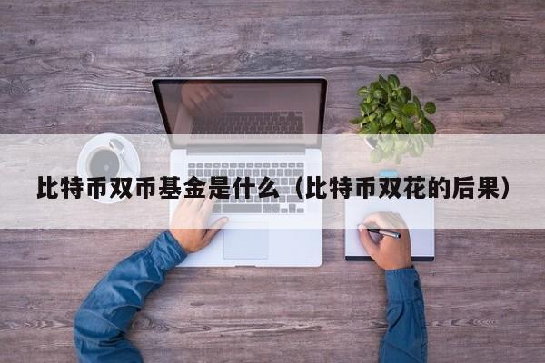 比特币双币基金是什么（比特币双花的后果）