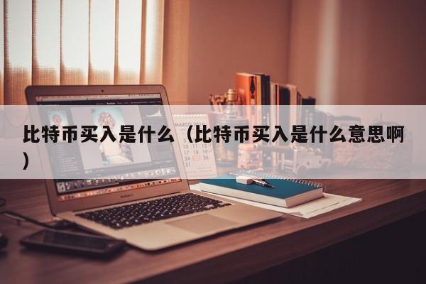 比特币买入是什么（比特币买入是什么意思啊）