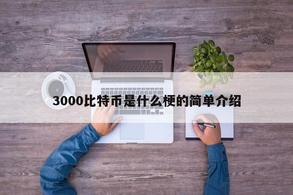 3000比特币是什么梗的简单介绍