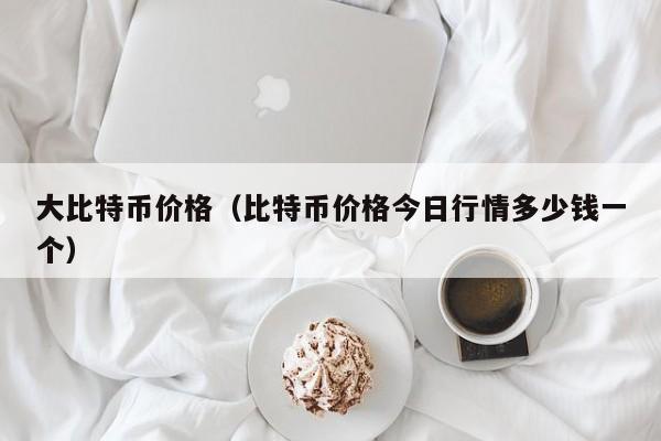 大比特币价格（比特币价格今日行情多少钱一个）