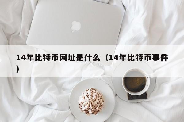 14年比特币网址是什么（14年比特币事件）