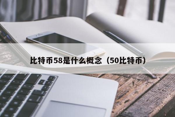 比特币58是什么概念（50比特币）