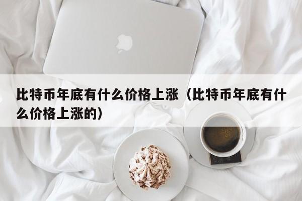 比特币年底有什么价格上涨（比特币年底有什么价格上涨的）