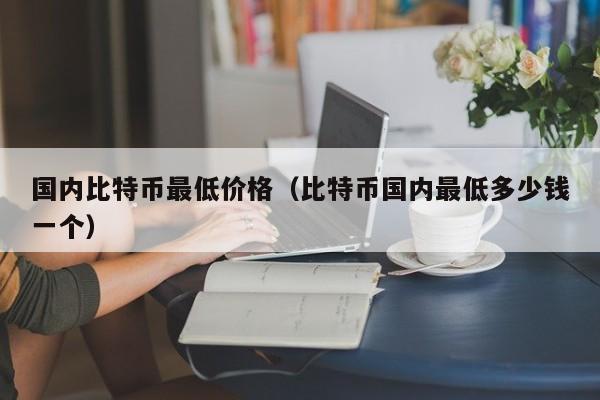 国内比特币最低价格（比特币国内最低多少钱一个）