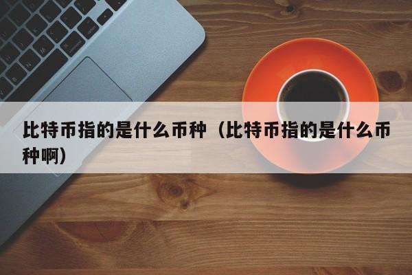 比特币指的是什么币种（比特币指的是什么币种啊）