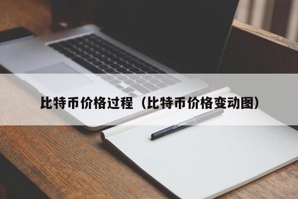 比特币价格过程（比特币价格变动图）