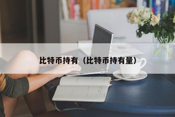 比特币持有（比特币持有量）