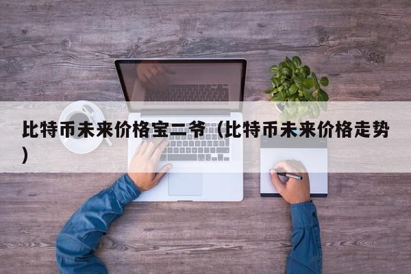 比特币未来价格宝二爷（比特币未来价格走势）