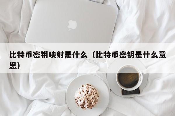 比特币密钥映射是什么（比特币密钥是什么意思）