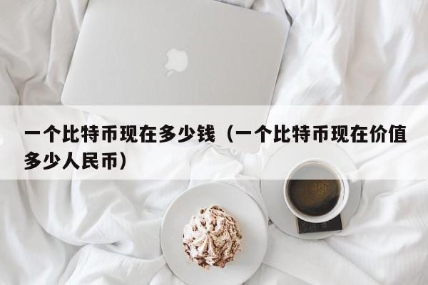 一个比特币现在多少钱（一个比特币现在价值多少人民币）
