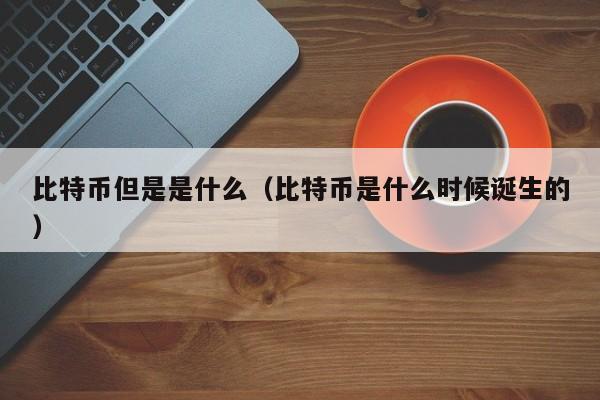 比特币但是是什么（比特币是什么时候诞生的）