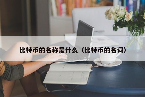 比特币的名称是什么（比特币的名词）
