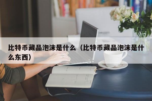比特币藏品泡沫是什么（比特币藏品泡沫是什么东西）