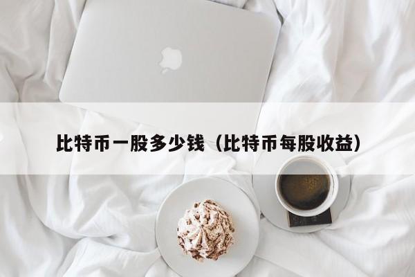 比特币一股多少钱（比特币每股收益）