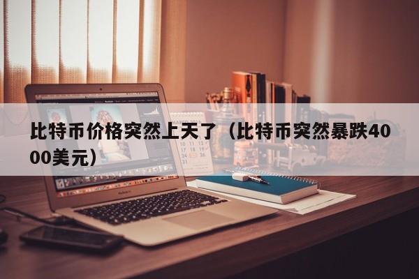 比特币价格突然上天了（比特币突然暴跌4000美元）