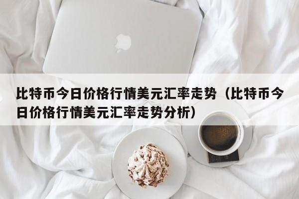 比特币今日价格行情美元汇率走势（比特币今日价格行情美元汇率走势分析）