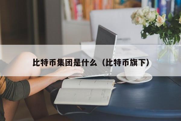 比特币集团是什么（比特币旗下）