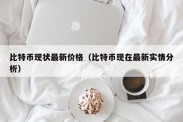 比特币现状最新价格（比特币现在最新实情分析）
