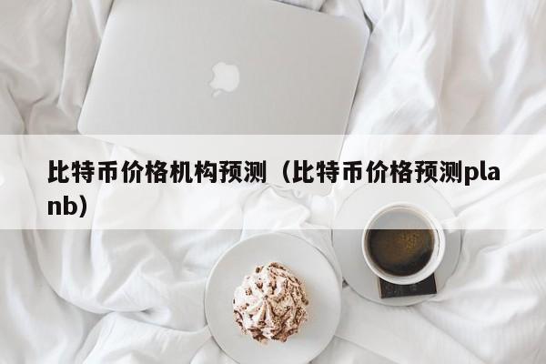比特币价格机构预测（比特币价格预测planb）