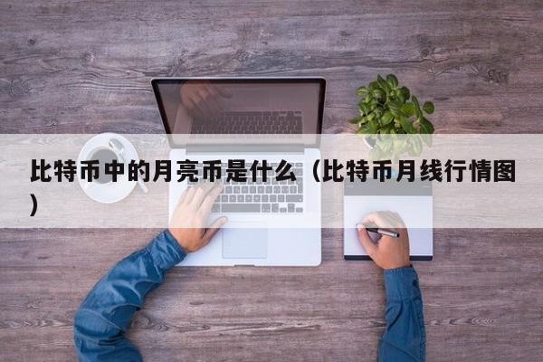 比特币中的月亮币是什么（比特币月线行情图）