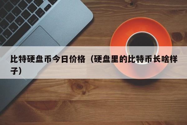 比特硬盘币今日价格（硬盘里的比特币长啥样子）