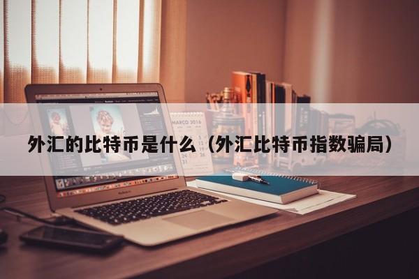 外汇的比特币是什么（外汇比特币指数骗局）