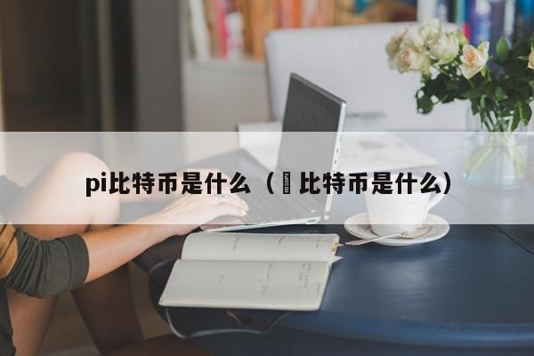 pi比特币是什么（犇比特币是什么）