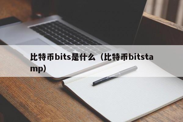 比特币bits是什么（比特币bitstamp）