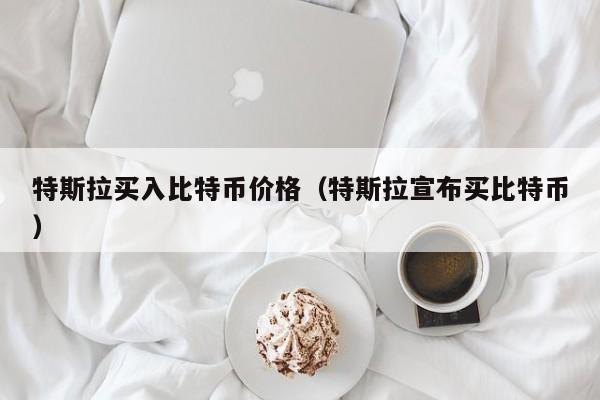 特斯拉买入比特币价格（特斯拉宣布买比特币）