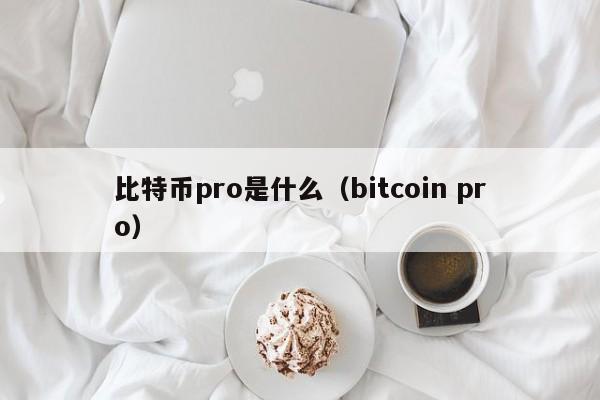 比特币pro是什么（bitcoin pro）