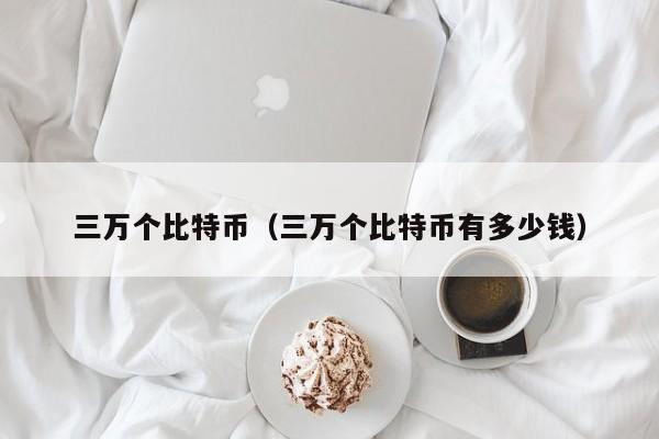 三万个比特币（三万个比特币有多少钱）
