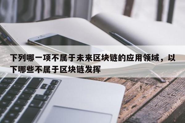 下列哪一项不属于未来区块链的应用领域，以下哪些不属于区块链发挥
